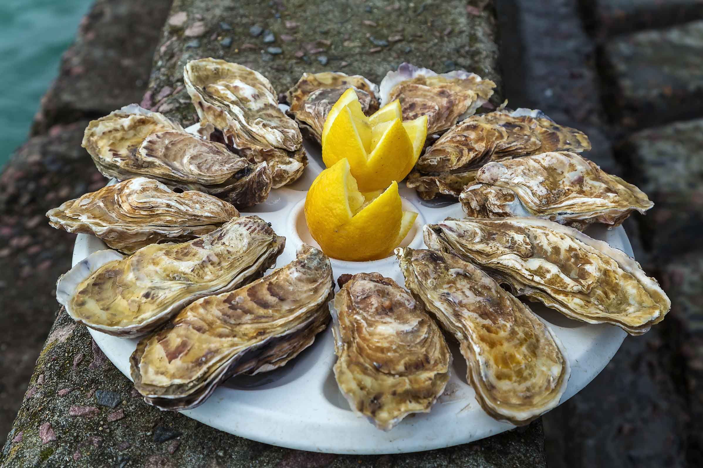 Cancale Oysters